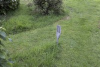 A fork in the path, literally. Harbour Lights, Devon NGS garden. July. 