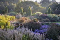 Calamagrostis brachytricha and Aster frikartii 'Jungfrau'  in mixed bed, October. 