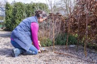 Woman digging holes for the sticks to go in