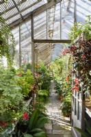 Glasshouse at Parham House in September full of tender plants