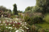 Mixed border with clematis tower and pond. Anemone 'Andrea Atkinson' and Persicaria amplexicaulis.