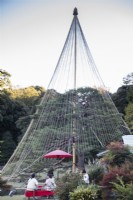 Ropes suspended from central pole in a cone arrangement to prevent winter snow damage of pine tree. This technique is called Yukitsuri. View across the tea room with seated garden visitors. 