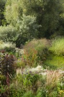 Aerial view of mixed border with clematis tower and a pond.