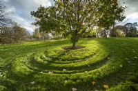 Late summer Tree with grass cutting heights