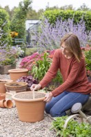 Woman placing wooden label in container planted with Hyacinthus 'Delft Blue', Narcissus 'Hawera' and Crocus sieberi 'Tricolor'