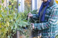 Woman planting Ivy in wooden window box