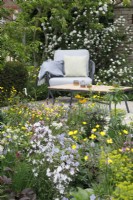 Seating area surrounded by wildlife friendly planting in The RSPCA Garden - Designer: Martyn Wilson - Sponsor: Project Giving Back -