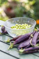 'Purple Podded' Peas in a glass dish next to empty pods