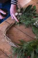 Making a winter wreath, tying in foliage to a willow hoop