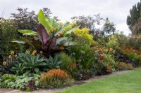 Tropical-style planting in hot colours in the Warm Border at Bourton House Garden, Gloucestershire.