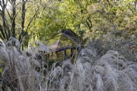 A view over ornamental grasses to a summerhouse roof, covered in moss, in a woodland setting. The Garden House, Yelverton. Autumn, November