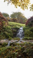 A waterfall falls into an acer glade, which is full of autumn colours. Stepping stones cross the stream and the path and stones are covered in brightly coloured, fallen acer leaves. The Garden House, Yelverton. Autumn, November