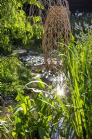 Modern contemporary geodesic laminated structure made from Moso bamboo with a Metasequoia glyptostroboides - dawn Redwood tree branches beside a pond with mixed planting of aquatic and marginal plants - Thalia Dealbata, Pontederia cordata