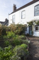 Period house and garden in spring.  Part of a sequence comparing the same scene in all 4 seasons. Bulbs and perennials emerging in the borders.
