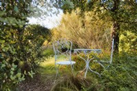 Mediterranean garden view with romanic settings of table and chairs.

Italy, Tuscan Maremma, Orbetello
Autumn season, October
