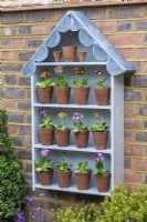 A handbuilt Auricula theatre with a scalloped lead roof displays vintage terracotta pots planted with Auricula primulas.