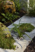 Circular holes in paving to allow for drainage and plants to grow. Summer.