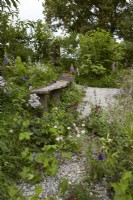 RHS Wildlife Garden Designers: Jo Thompson and Kate Bradbury. Plants include campanula, digitalis, geranium and Thalictrum delavayi 'Splendide White'. Summer.