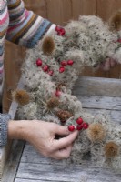 Step-by-Step making a Countryside Wreath from a wire frame wrapped in old man's beard. Step 5: wired rosehips are attached to the underside of the frame, and pushed into the old man's beard.