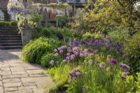 Stone paving path leading to steps with wooden arbour with Wisteria, flower borders planted with Alliums and Aquilegia