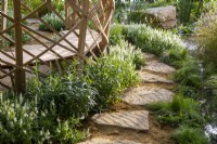 Stepping stone path - modern contemporary laminated lattice-work  structure made from Moso bamboo - Phyllostachys edulis with a bench seat and underplanting of Salvia x sylvestris 'Schneehugel' - aquatic marginal plants - Isolepis cernua