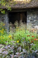 Old stone building with mixed planting perennial border with Echinacea 'Salsa Red', Lysimachia ciliata 'Firecracker',  Helenium and ornamental grasses Pennisetum alopecuroides and Melica altissima 