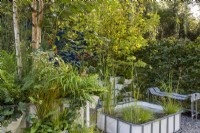 Repurposed upcycled industrial IBC -  intermediate bulk containers -to create a modern contemporary multi layered woodland planting - pond with aquatic plants Typha gracilis, Cyperus longus and Carex riparia containers with planting of Betula pendula ferns and grasses