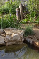 A wildlife friendly garden with pond with edging of stone boulders and metal girders - a gravel path - old tree stumps as a wildlife habitat and Iris sibirica 'Tropical Night'