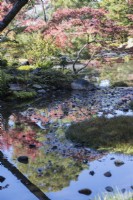 Pond in garden with surrounding trees with autumn colour reflected in the water. 