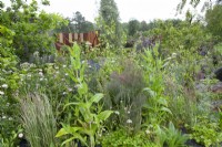 Mixed planting in the IQ Quarry Garden - RHS Chatsworth Flower Show 2017, June