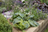 Raised beds with mixed perennials in 'The Heritage Garden' at BBC Gardener's World 22019, June