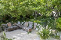 Oak bench seat - mixed perennial planting - Carex remota, Astrantia, Euphorbia, Hosta and ferns, Betula pendula, Ulmus minor 'Jacqueline Hillier' small leaved Elm trees with Libertia grandiflora growing in the gravel 