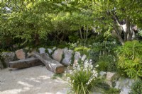 Modern contemporary garden made with salvaged building materials - seating area with oak bench seat - reclaimed concrete raised beds with mixed perennial planting of shade loving woodland plants Euphorbia x pasteuri and Libertia grandiflora syn. Chilensis 