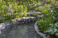 Pond with reclaimed salvaged concrete edges - borders mixed perennial planting - Hosta 'Krossa Regal', Iris chrysographes Rheum palmatum 'Rubrum', Euphorbia ceratocarpa, Cirsium rivulare, Corokia cotoneaster and ornamental grasses