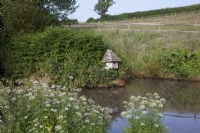 Natural wild  pond with duck house surrounded with Cow Parsley and fields.