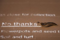 Slug next to 'No thanks' text on brown garden bin