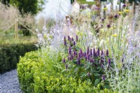 The Joy Club show garden at RHS Hampton Court Palace Garden Festival, designer Zavier Kwek, drought tolerant and pollinator friendly. Planting includes Agastache, Allium sphaerocephalon and Perovskia atriplicifolia - now Salvia yangii