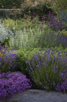 The Yard Garden - A drought tolerant Mediterranean Influenced garden. Raised oak sleeper beds filled with mixed Lavenders,including Lavandula angustifolia 'Hidcote', Artemisia ludoviciana  ' Valerie Finnis',  Ballota Pseudodictamnus,  Dianthus Carthusianorum, Thymus 'Red Start',  Lychnis coronaria 'Cerise Pink' and Santolina virens     ' Lemon Queen'. 
