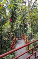 Fuchsia boliviana flowers hang over converging pathways with red balustrades in an Oriental Garden. Monte Palace Gardens, Madeira. August. Summer