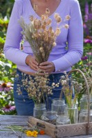 Woman collecting seeds from the garden . Nigella damascena, Allium,  Silene vulgaris and others.