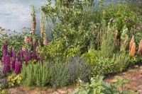 Mixed perennials in 'An Imagined Miner's Garden' at RHS Chatsworth Flower Show 2019, June