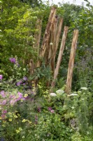 Stripped bark tree trunks as a sculptural focal point with mixed perennial planting of Lavatera x clementii 'Burgundy Wine', Salvia greggii 'Icing Sugar', Anthemis tinctoria 'E.C. Buxton' and Ammi visnaga