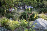 Drought tolerant planting in a gravel garden with Eremurus, Agapanthus, Euphorbia, Hesperaloe parviflora, Stipa tenuissima with multi-stemmed Prunus serrula and Pinus mugo