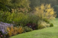 An autumn border of Asters, Sedum and Stipa giganta at Waterperry Gardens