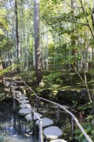 Round stone stepping stones and railing crossing one of the ponds in the garden. Planting of Phyllostachys behind. 