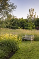 Phlomis fruticosa and Miscanthus sinensis 'Morning Light' on the corner of the perennial border in the wildflower meadow. A wooden bench provides a calm resting place.