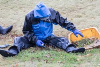 Gardener wearing blue waterproof clothing, hat and gloves hand weeding lawn with knife.