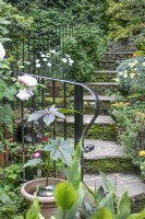 Suburban sunken garden open for Charity, Whittington, June