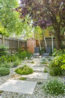 Small contemporary town garden in summer with stepping stones. Wide variety of plants including birch trees, Iris 'Natchez Trace', Libertia grandiflora, thymes, hebe and Erigeron karvinskianus 'Profusion'. June