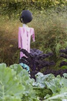 Scarecrow in a vegetable garden in October full of Kale 'Redbor' and asparagus